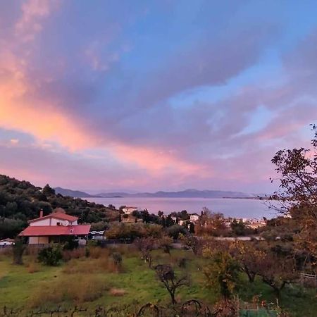 Ολόκληρος Όροφος Αγροτική Οικία Apartment Neos Pirgos Luaran gambar