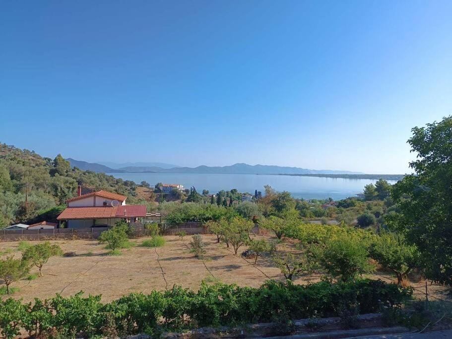 Ολόκληρος Όροφος Αγροτική Οικία Apartment Neos Pirgos Luaran gambar