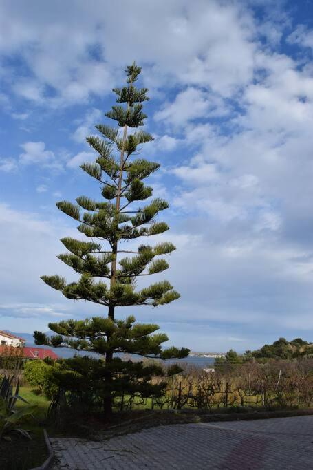 Ολόκληρος Όροφος Αγροτική Οικία Apartment Neos Pirgos Luaran gambar